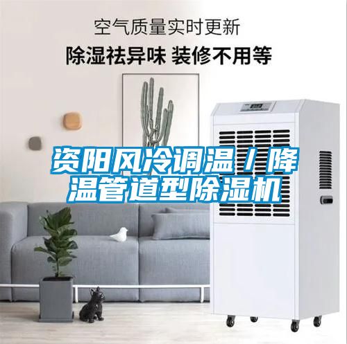 資陽風冷調溫／降溫管道型除濕機