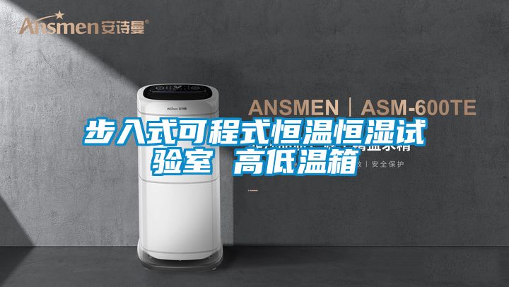 步入式可程式恒溫恒濕試驗(yàn)室 高低溫箱