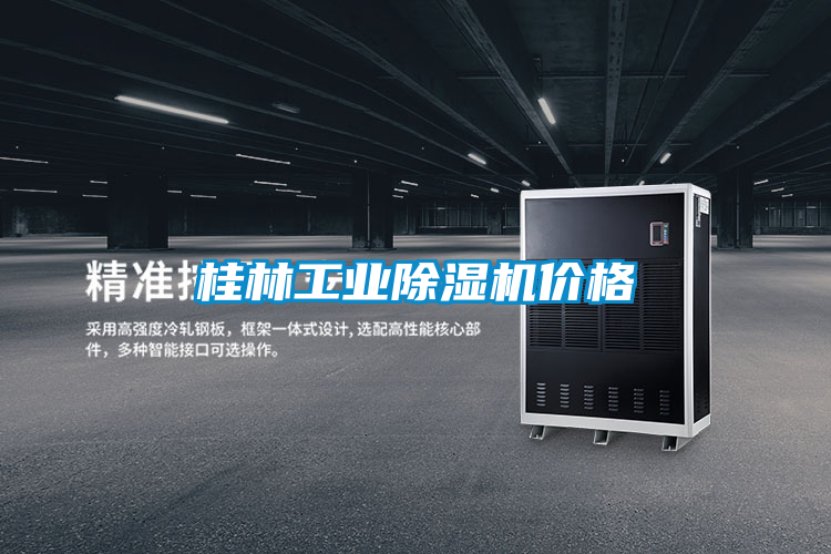 桂林工業除濕機價格