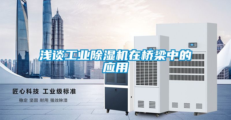 淺談工業除濕機在橋梁中的應用