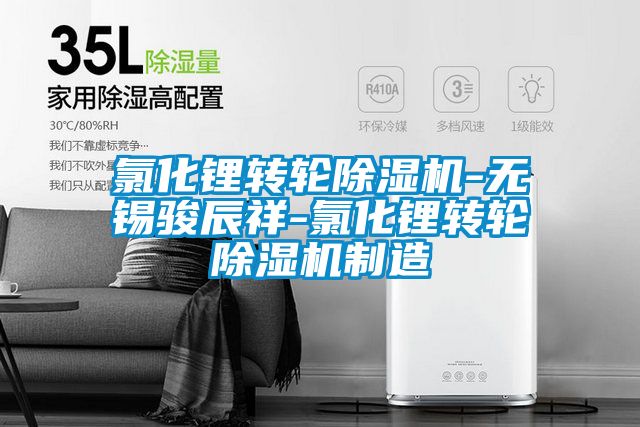 氯化鋰轉輪除濕機-無錫駿辰祥-氯化鋰轉輪除濕機制造