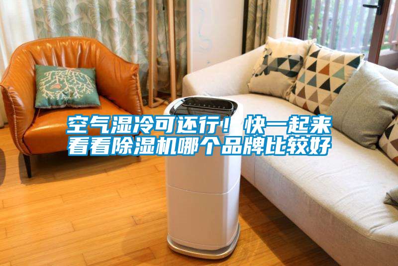 空氣濕冷可還行！快一起來看看除濕機(jī)哪個(gè)品牌比較好