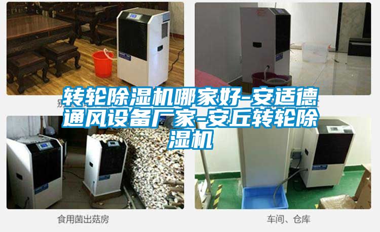 轉輪除濕機哪家好-安適德通風設備廠家-安丘轉輪除濕機