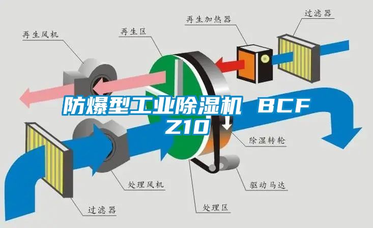 防爆型工業(yè)除濕機 BCFZ10