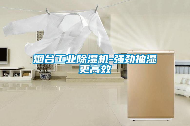 煙臺(tái)工業(yè)除濕機(jī)-強(qiáng)勁抽濕更高效