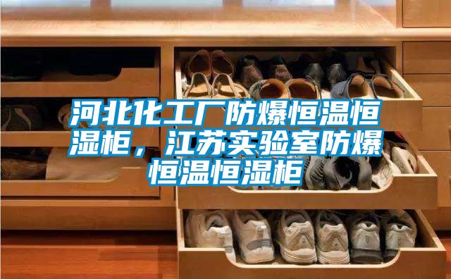 河北化工廠防爆恒溫恒濕柜，江蘇實(shí)驗(yàn)室防爆恒溫恒濕柜