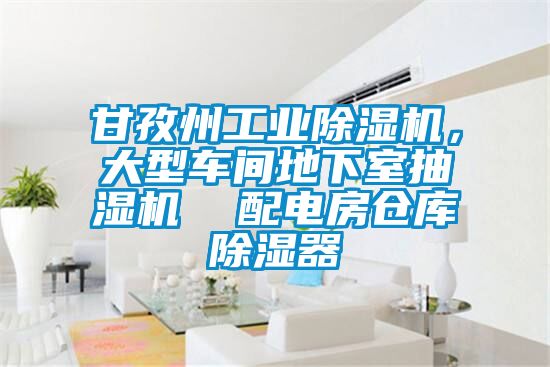 甘孜州工業除濕機，大型車間地下室抽濕機  配電房倉庫除濕器