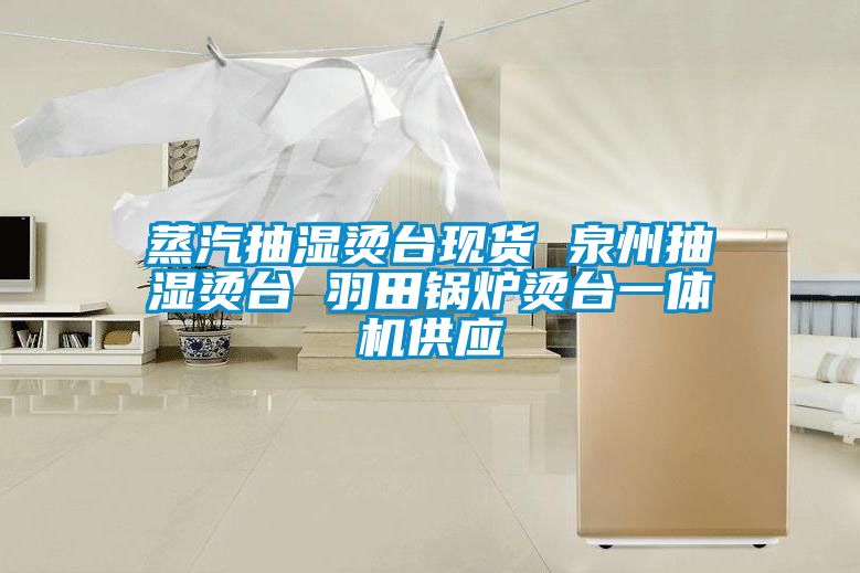 蒸汽抽濕燙臺現(xiàn)貨 泉州抽濕燙臺 羽田鍋爐燙臺一體機供應
