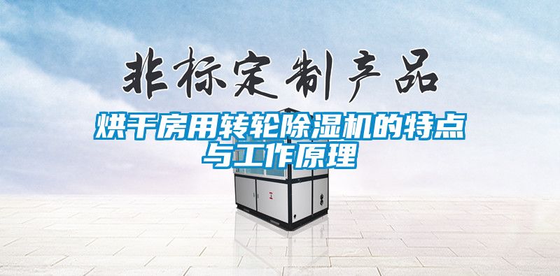 烘干房用轉(zhuǎn)輪除濕機的特點與工作原理