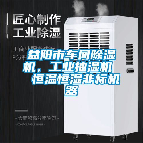 益陽市車間除濕機，工業抽濕機  恒溫恒濕非標機器