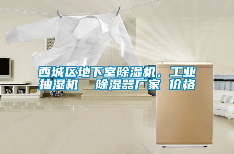 西城區地下室除濕機，工業抽濕機  除濕器廠家 價格