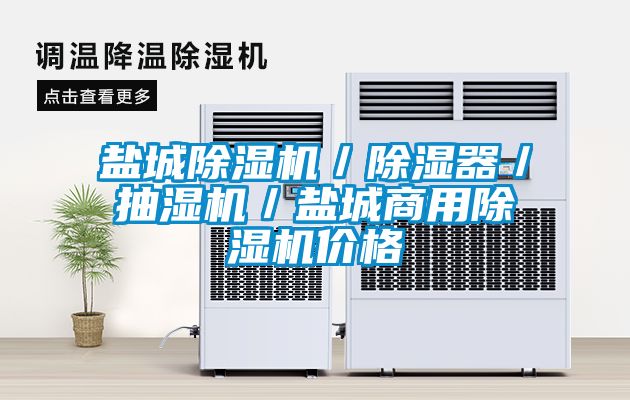鹽城除濕機(jī)／除濕器／抽濕機(jī)／鹽城商用除濕機(jī)價格