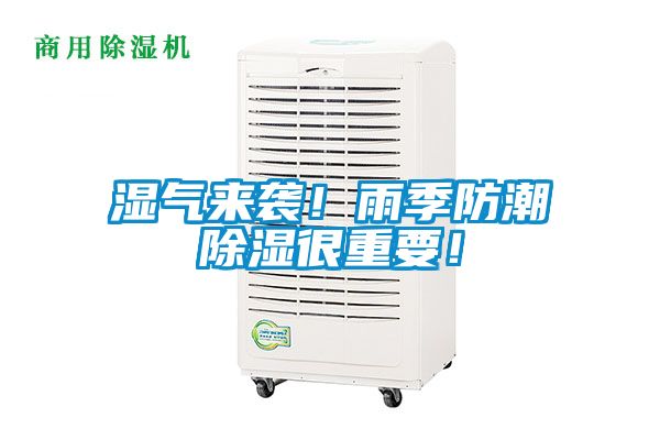 濕氣來(lái)襲！雨季防潮除濕很重要！