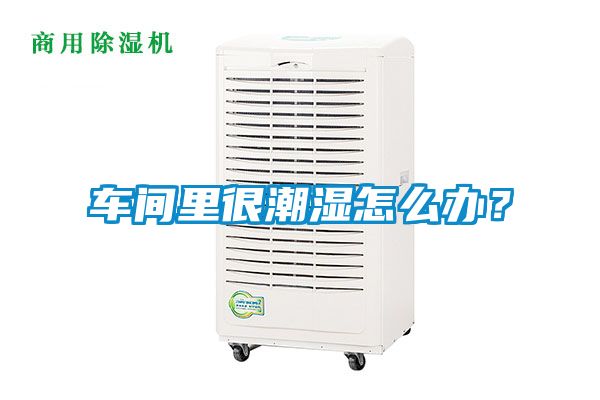 車間里很潮濕怎么辦？