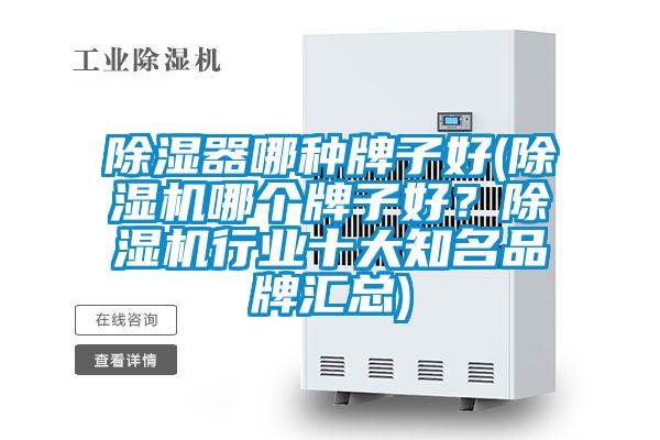 除濕器哪種牌子好(除濕機哪個牌子好？除濕機行業十大知名品牌匯總)