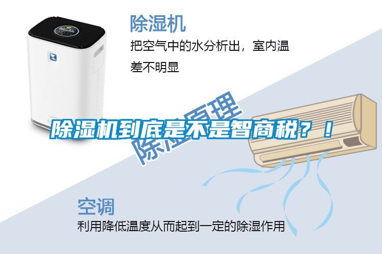 除濕機到底是不是智商稅？！