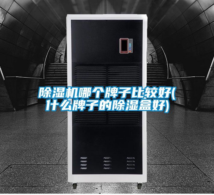除濕機(jī)哪個牌子比較好(什么牌子的除濕盒好)