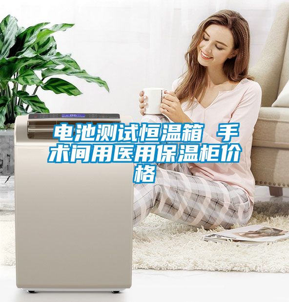 電池測試恒溫箱 手術間用醫(yī)用保溫柜價格