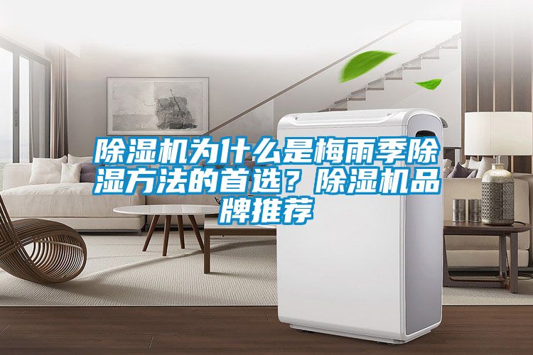 除濕機為什么是梅雨季除濕方法的首選？除濕機品牌推薦