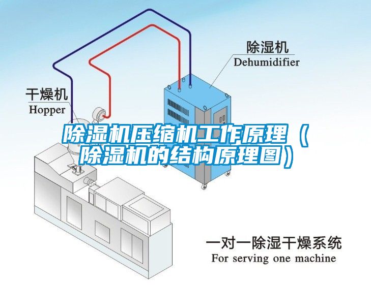 除濕機壓縮機工作原理（除濕機的結構原理圖）
