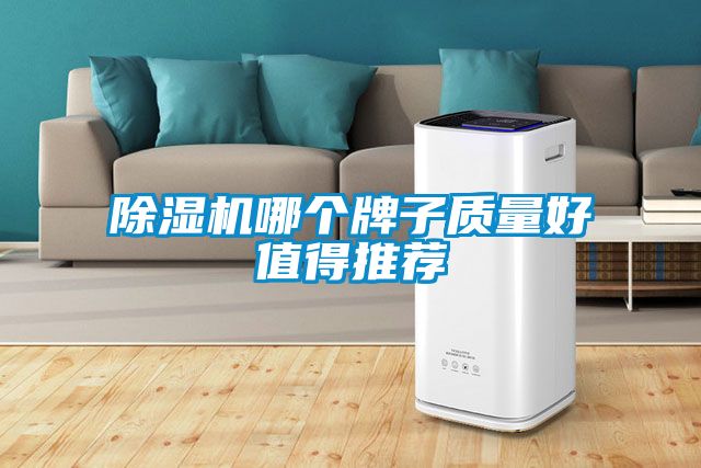 除濕機哪個牌子質(zhì)量好值得推薦