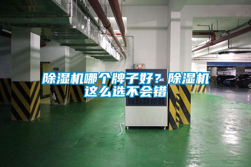 除濕機哪個牌子好？除濕機這么選不會錯
