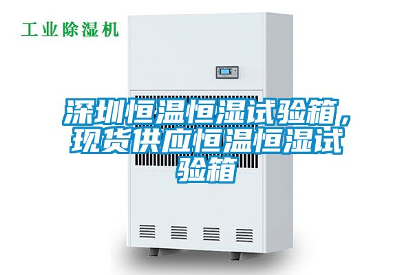 深圳恒溫恒濕試驗箱，現貨供應恒溫恒濕試驗箱