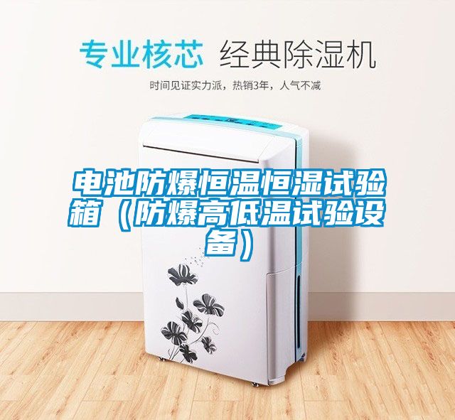 電池防爆恒溫恒濕試驗(yàn)箱（防爆高低溫試驗(yàn)設(shè)備）