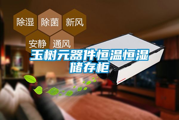 玉樹元器件恒溫恒濕儲(chǔ)存柜