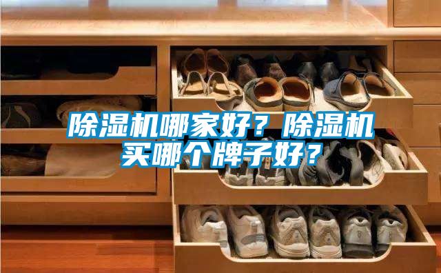 除濕機哪家好？除濕機買哪個牌子好？