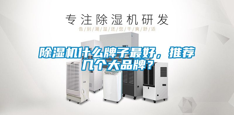 除濕機什么牌子最好，推薦幾個大品牌？