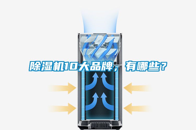 除濕機(jī)10大品牌，有哪些？