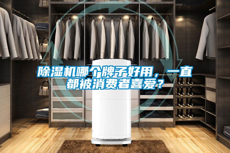 除濕機哪個牌子好用，一直都被消費者喜愛？