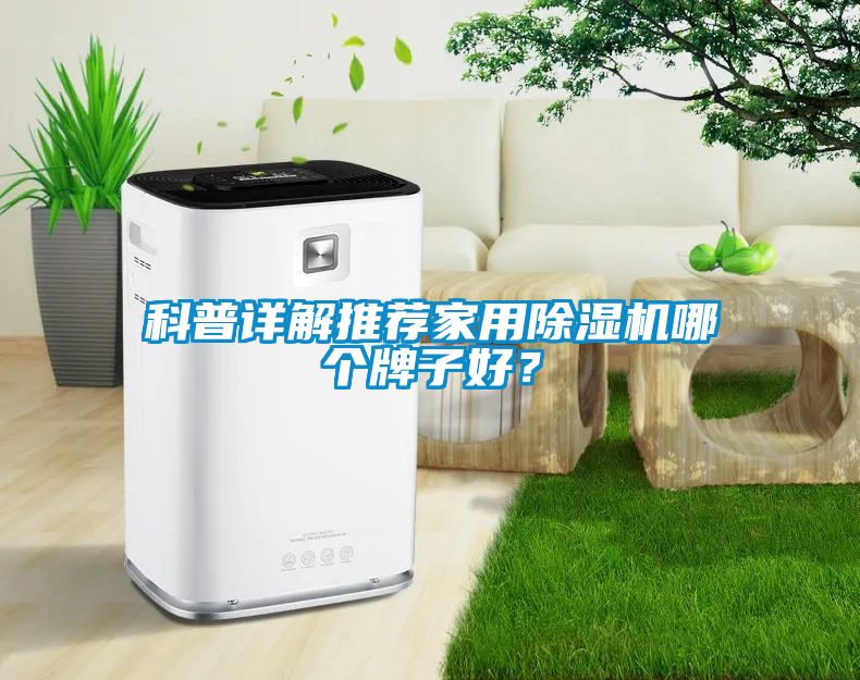 科普詳解推薦家用除濕機(jī)哪個牌子好？