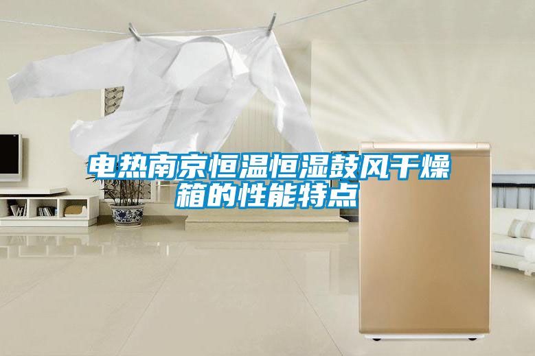 電熱南京恒溫恒濕鼓風干燥箱的性能特點