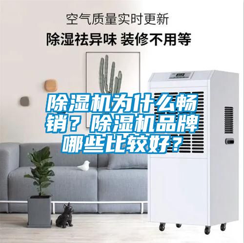 除濕機為什么暢銷？除濕機品牌哪些比較好？