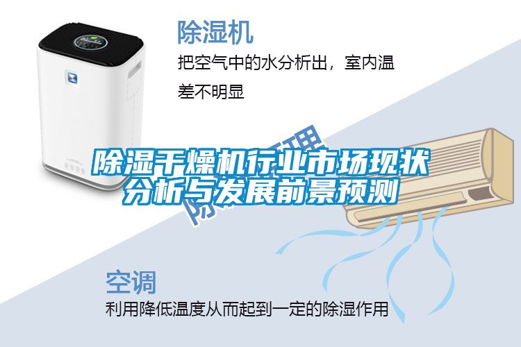 除濕干燥機行業(yè)市場現狀分析與發(fā)展前景預測