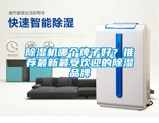 除濕機(jī)哪個(gè)牌子好？推薦最新最受歡迎的除濕品牌