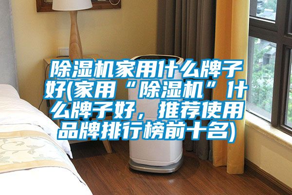 除濕機家用什么牌子好(家用“除濕機”什么牌子好，推薦使用品牌排行榜前十名)