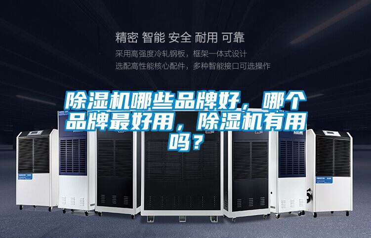 除濕機哪些品牌好，哪個品牌最好用，除濕機有用嗎？