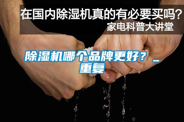 除濕機(jī)哪個(gè)品牌更好？_重復(fù)