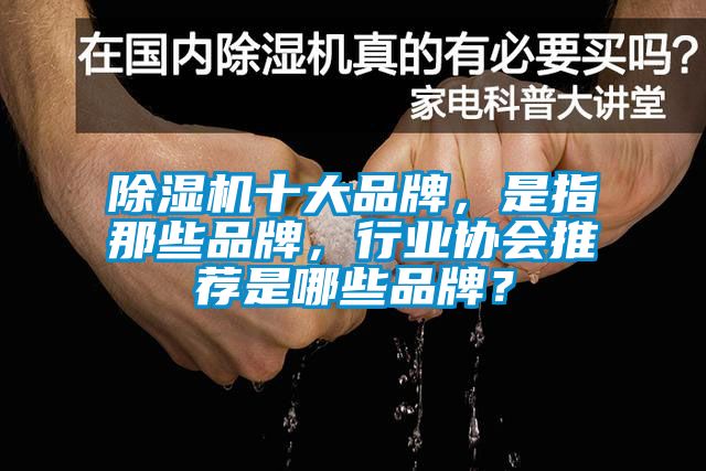 除濕機十大品牌，是指那些品牌，行業協會推薦是哪些品牌？