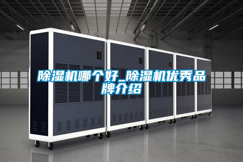 除濕機哪個好_除濕機優秀品牌介紹