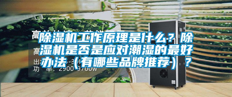 除濕機工作原理是什么？除濕機是否是應對潮濕的最好辦法（有哪些品牌推薦）？
