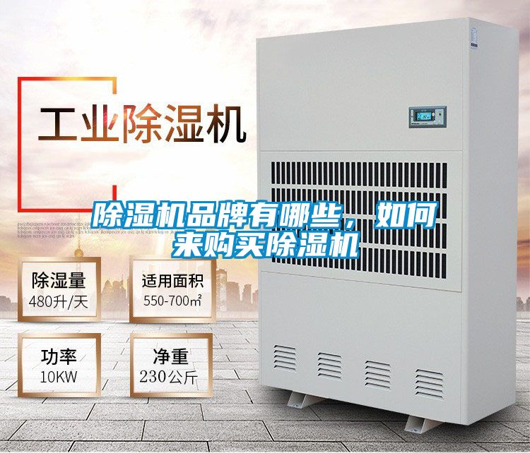除濕機品牌有哪些，如何來購買除濕機