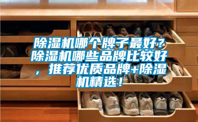 除濕機哪個牌子最好？除濕機哪些品牌比較好，推薦優質品牌+除濕機精選！