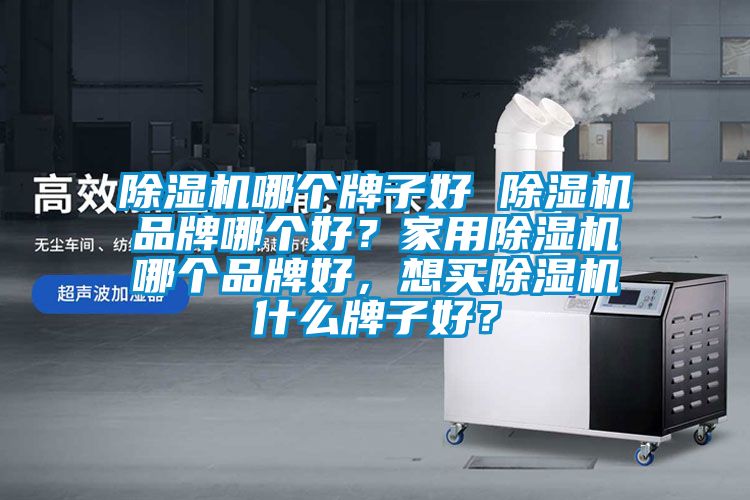 除濕機(jī)哪個牌子好 除濕機(jī)品牌哪個好？家用除濕機(jī)哪個品牌好，想買除濕機(jī)什么牌子好？