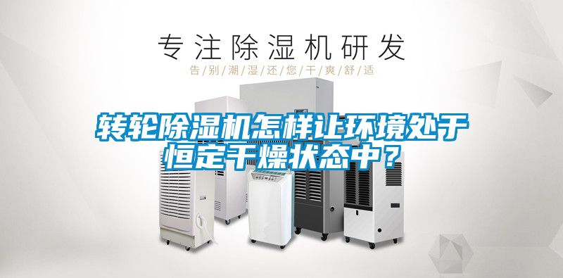 轉(zhuǎn)輪除濕機怎樣讓環(huán)境處于恒定干燥狀態(tài)中？