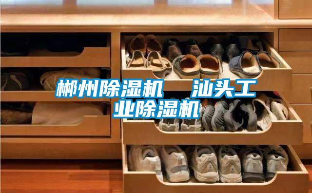 郴州除濕機  汕頭工業除濕機
