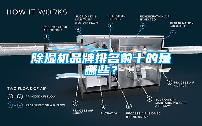 除濕機品牌排名前十的是哪些？